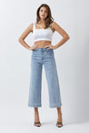 SALE Risen High Rise Ankle Wide Leg Jeans - Curvy Size