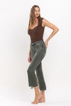 Vervet High Rise Distressed Hem Crop Flare Jeans