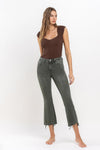 Vervet High Rise Distressed Hem Crop Flare Jeans