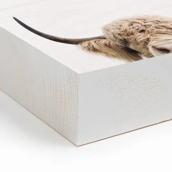 Peeking Cow Wood Block Décor