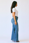 Judy Blue Hw Flare Tummy Control Double Button Wb- Petite