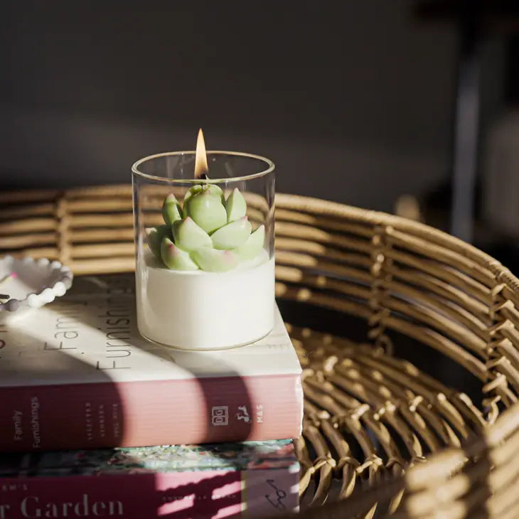 Succulent Soy Candle | Soy Blend