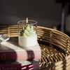 Succulent Soy Candle | Soy Blend