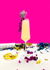 Champagne Celebrations Slushie Mix