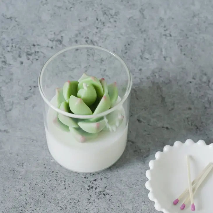 Succulent Soy Candle | Soy Blend