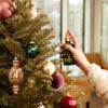 X Frasier Fir Tree & Room Spray