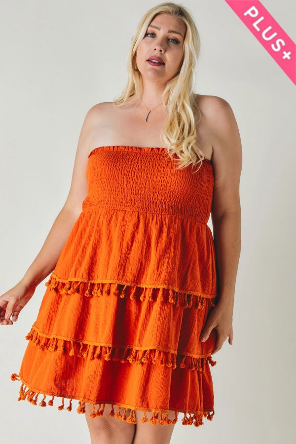 NEW Tassel Trim Layered Hem Tube Dress- Curvy Size