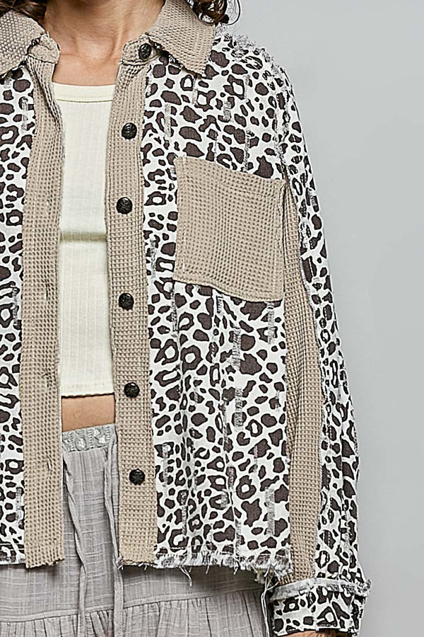 POL Collar Neckline and Raglan Sleeve Top