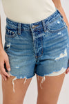 Judy Blue HW Rigid Magic Cut Off Shorts - Blush & Cactus