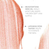 Farmasi Midnight Touch Bronzer