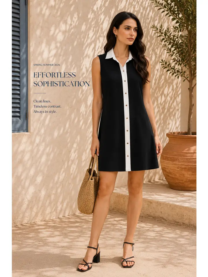 Black and White Collared Dress