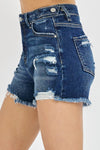 Risen Tummy Control Highrise Waist Band Shorts
