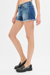 Risen Low Rise Frayed Shorts