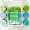 Eucalyptus Escape Shower Steamers 6 Pack - Made in USA - Spa - Blush & Cactus