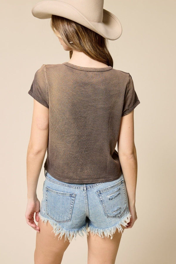 Free Bird America 1977 Graphic Tee - Blush & Cactus