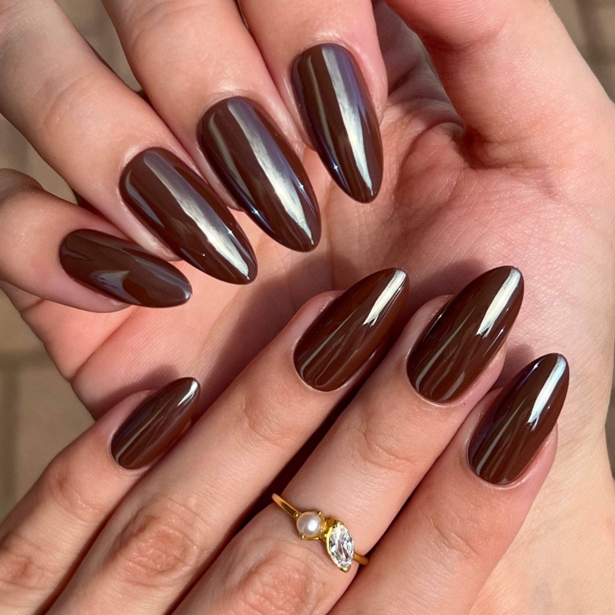 PaintLab Chocolate Glaze Press - on Nails - Blush & Cactus
