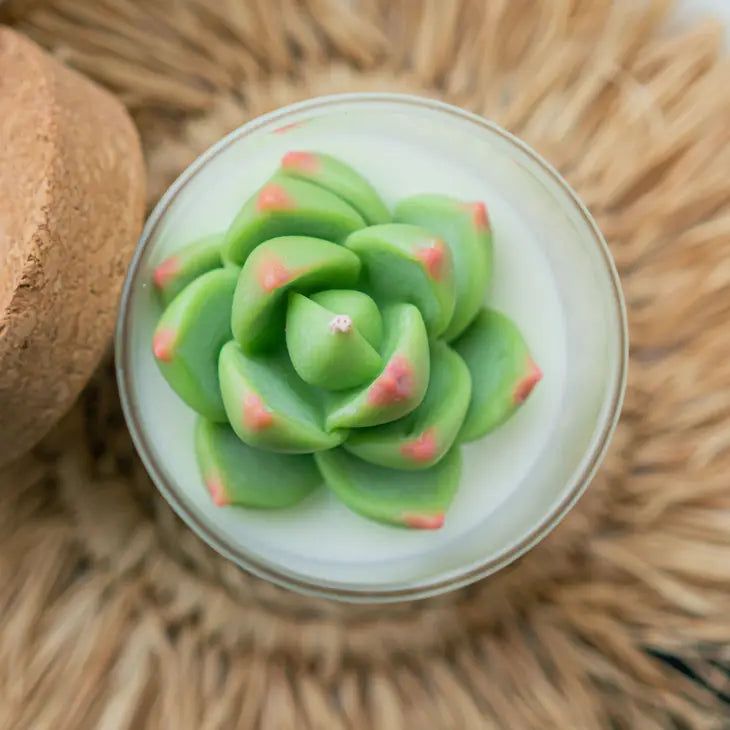 Succulent Soy Candle | Soy Blend