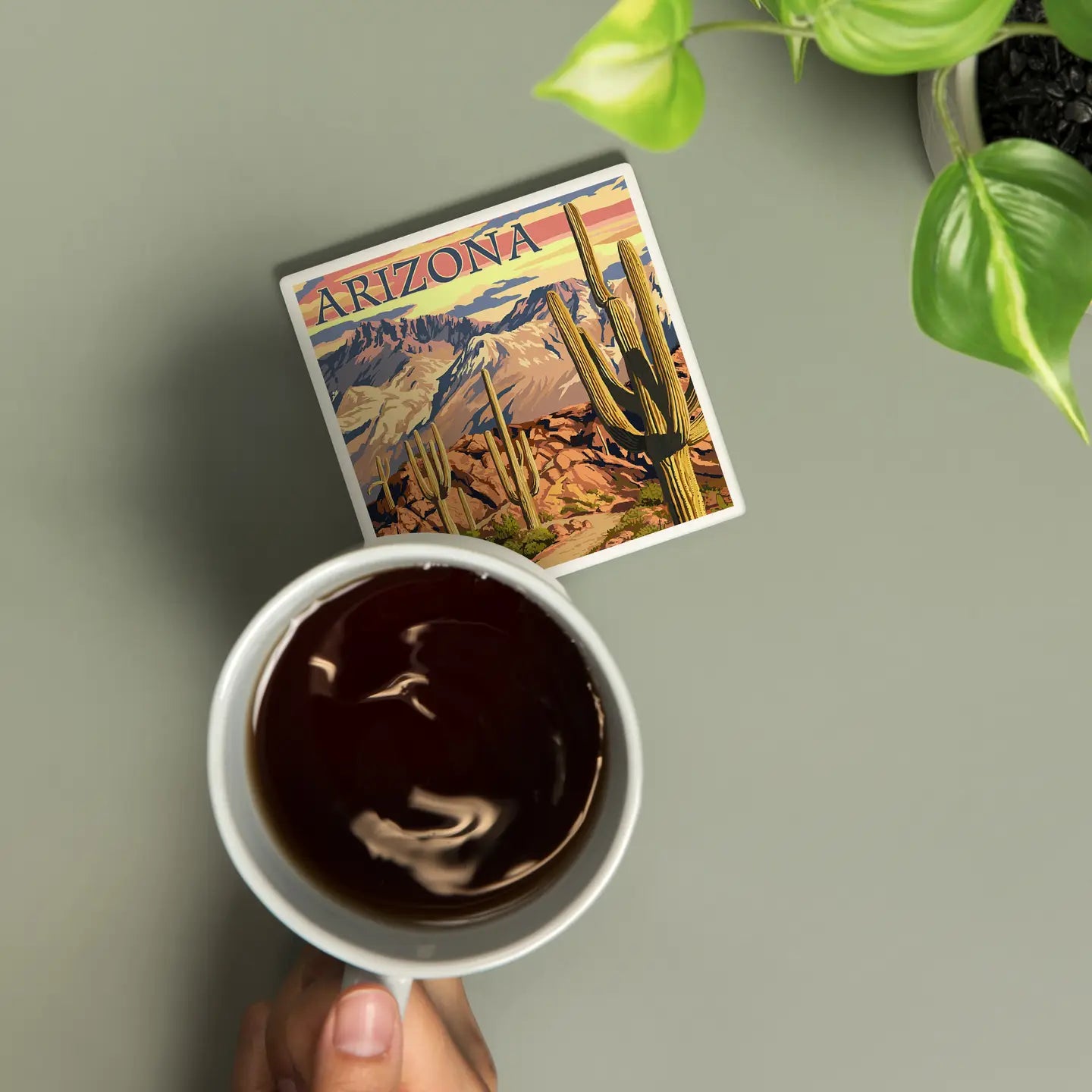 Arizona Desert Cactus Trail Scene At Sunset Ceramic Coaster