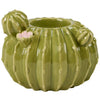 Barrel Cactus Candle Holder - Blush & Cactus