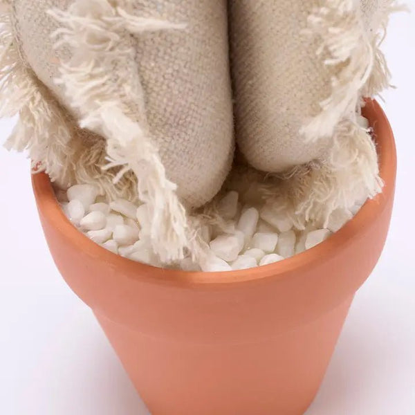 Barrel Cactus Sitter - Blush & Cactus