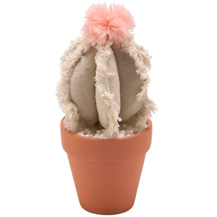 Barrel Cactus Sitter - Blush & Cactus
