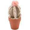 Barrel Cactus Sitter - Blush & Cactus