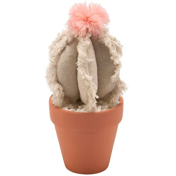 Barrel Cactus Sitter - Blush & Cactus