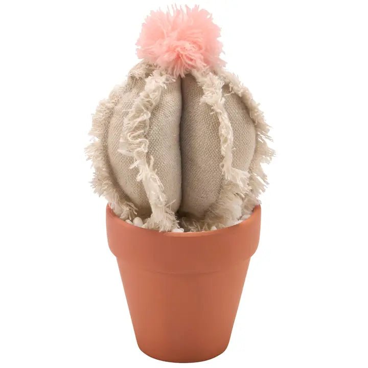 Barrel Cactus Sitter - Blush & Cactus