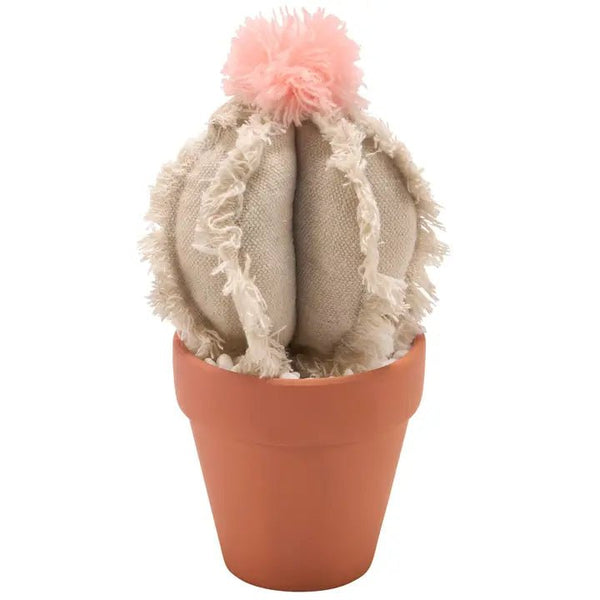 Barrel Cactus Sitter - Blush & Cactus