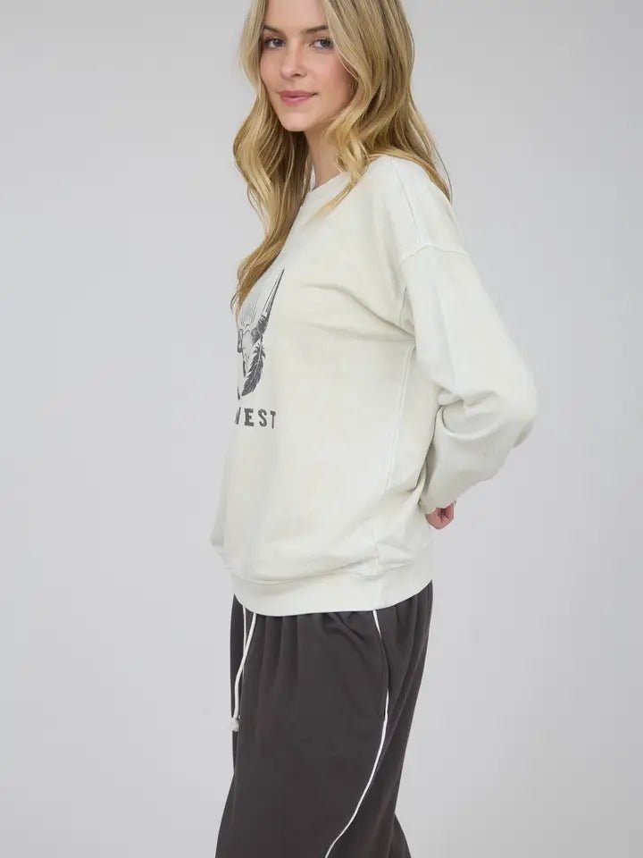 Wild West Graphic Long Sleeve Knit Top - Blush & Cactus