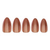 PaintLab Maple Syrup Press - on Nails - Blush & Cactus