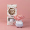 Sweet Grace Flower Diffuser - Blush & Cactus