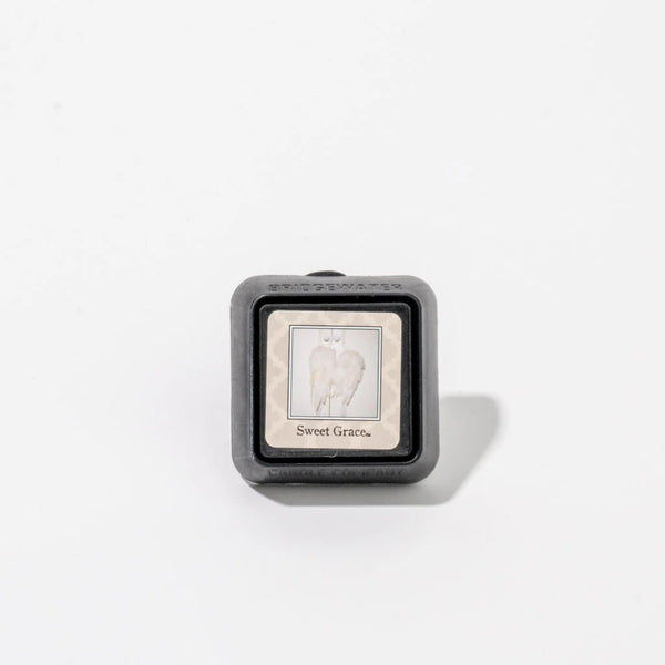 Sweet Grace Auto Vent Clip - Blush & Cactus