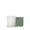 Frasier Fir Tidings Boxed Votive 2oz