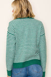 Checker Board And Stripe Mix Media Sweater - Blush & Cactus