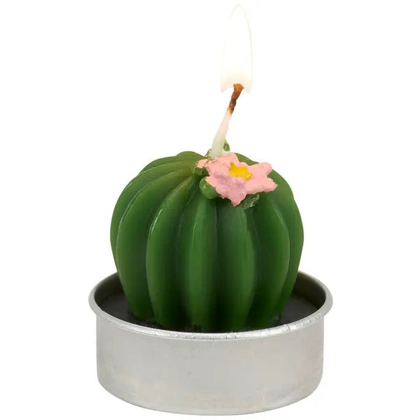 Cactus Tealight Candle Set - Blush & Cactus