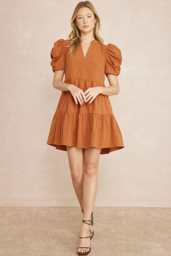 Solid v-neck puff sleeve mini dress featuring ruching at sleeves