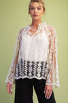 Easel Sheer Lace Blouse with Inset
