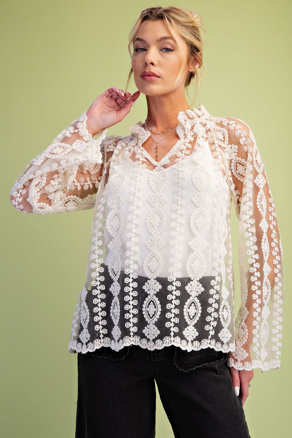 Easel Sheer Lace Blouse with Inset