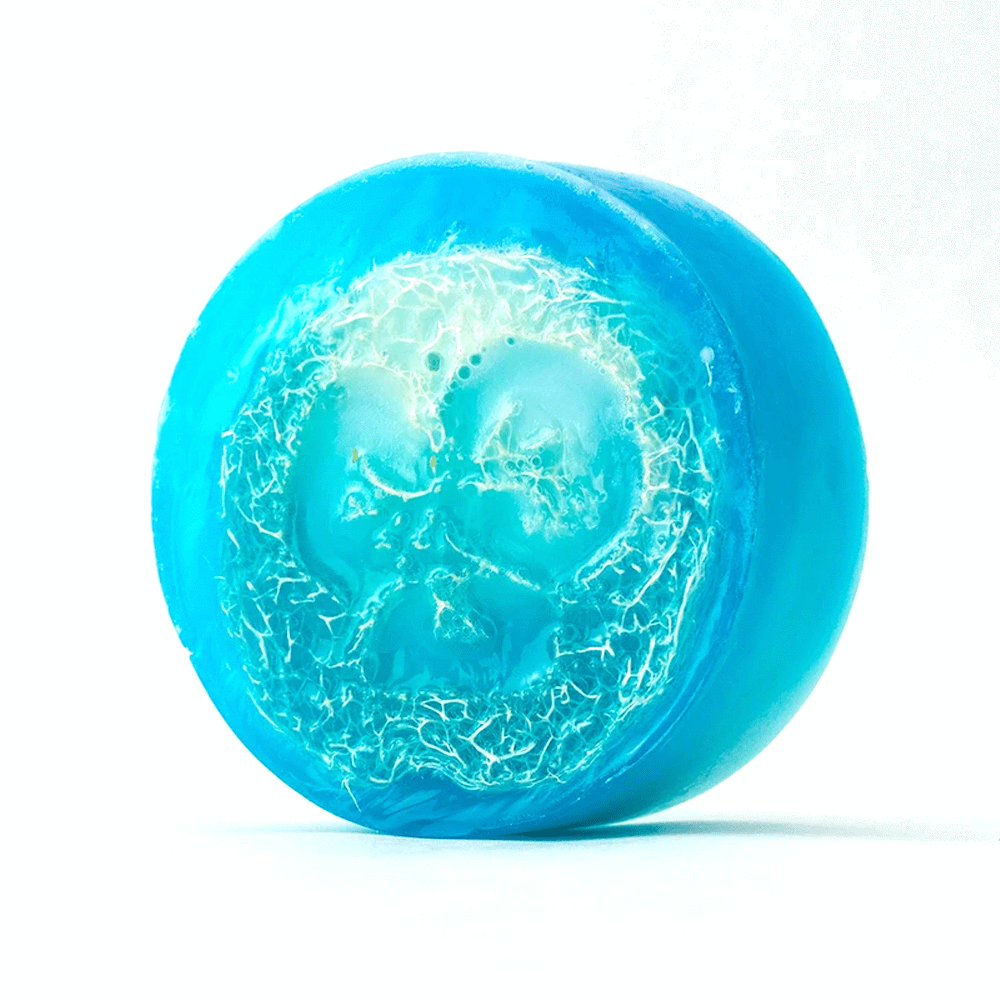 NEW Loofah Soap - Pain Relief