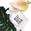 Best Gift Ever Gift Bag
